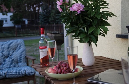 Geierswalde House | Lakeland vacation home in Geierswalde - House "Sedlitzer See"
