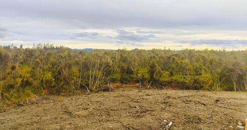 West Coast Region House | Lakeside Retreat Native Bush Bird Populated