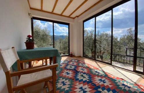 Selcuk House | Lamin House