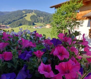 Am Feuersang Apartment | Landhaus Fingerhof