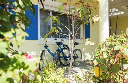 Colliers Bay House | Large bedroom apt with a kitchen big Queen bed and two Murphy beds