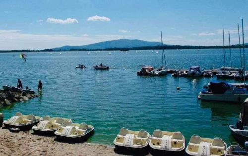 Mietkow Apartment | Lazurowy Azyl Borzygniew