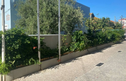 Setubal House | LazyDaze!