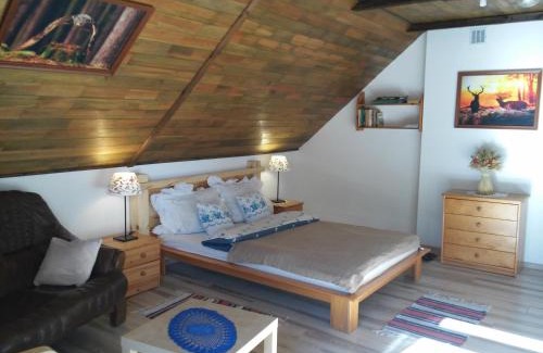 Brusy Apartment | Leśny Domek Męcikał