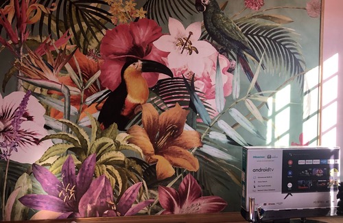 Lisle-sur-Tarn Apartment | LE Ccocon Tropical