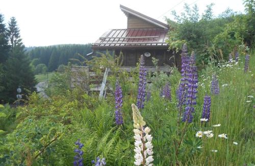 Xonrupt-Longemer Ski Chalet | Le chalet du Domaine des Lupins