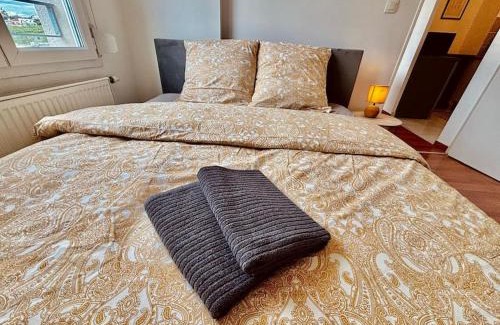 Pfastatt Apartment | Le Cotonnier - Pfastatt Mulhouse