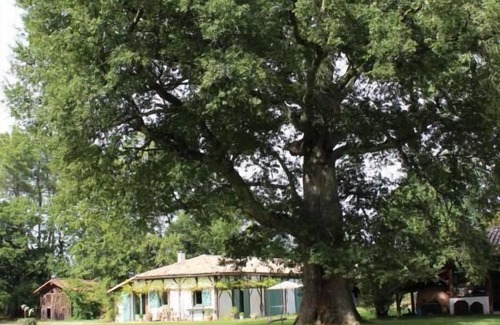 Luglon House | Le Gîte de Marquin - Luglon