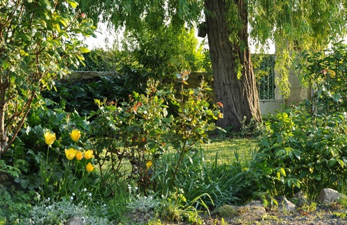 Allonnes House | Le gîte de Russé, Country house between vineyard and Loire