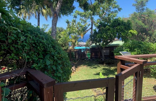 Piton Saint-Leu Apartment | Le Maloya, T2 de 50m² adapté PMR avec terrasse et jardinet privé