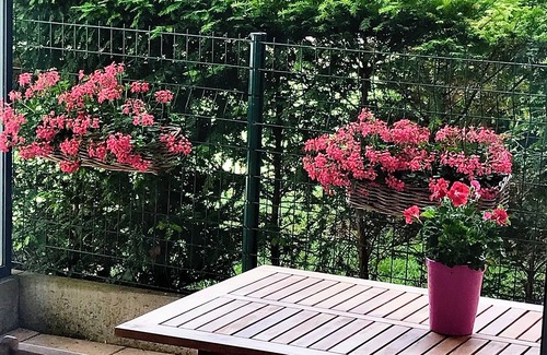 Quartier Saint-Leon Apartment | "LE MANALA" charming 3* furnished apartment in Colmar large terrace, park & private parking lot