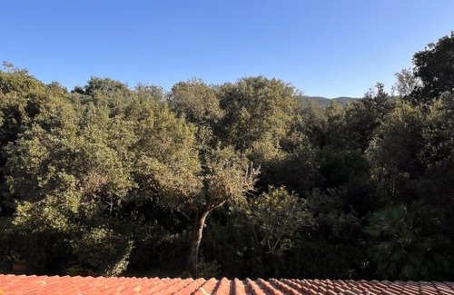 Punta Ala Apartment | Le Mimose