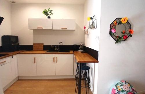 Faubourg Apartment | le Notre dame-Centre ville-Gare