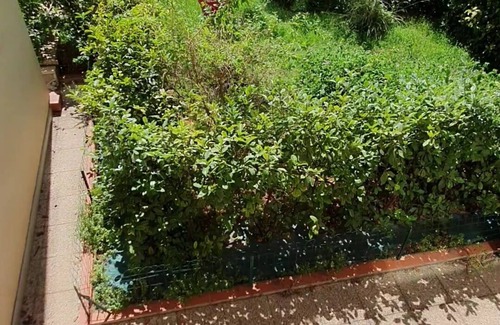 Perpignan Apartment | Le Palace Climatisé au Centre-ville - Piscine - Accès Rapide Plage et Espagne