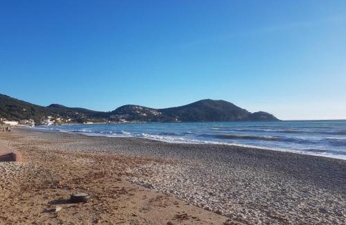 La Madrague Apartment | le petit Eden de la Madrague face à la Ciotat