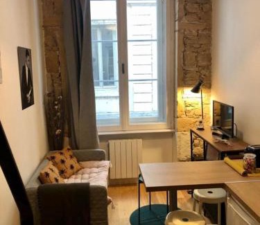 Terreaux - Bat d'argent Apartment | Le petit Serlin - Opéra -Métro Hôtel de Ville