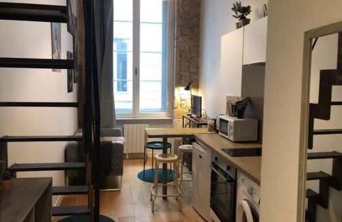 Terreaux - Bat d'argent Apartment | Le petit Serlin - Opéra -Métro Hôtel de Ville