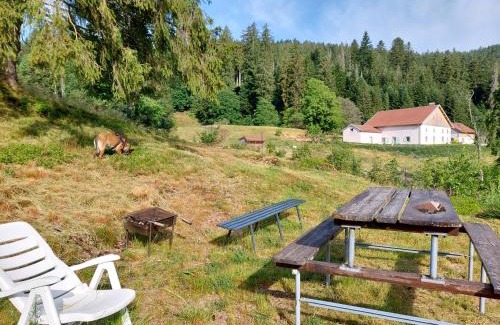 Gerardmer Ski Chalet | Le Refuge perché du saut de la bourrique SPA, terrain clôturé Gérardmer