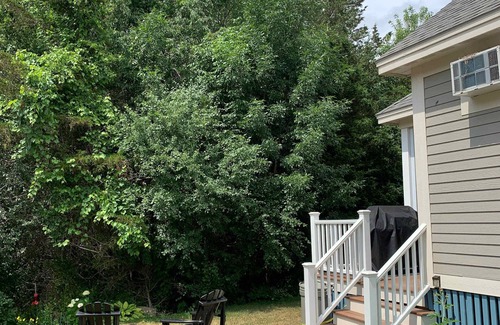 Cherry Valley House | Le Wapiti - 75 Butternut