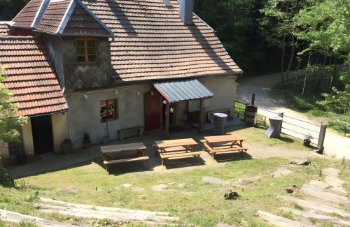 Sainte-Marie-aux-Mines Apartment | Le Zillhardthof