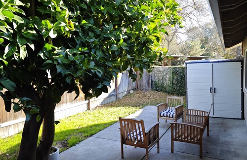 Davis House | Lemontree House: Chic Davis 3BR Gem near UC Davis