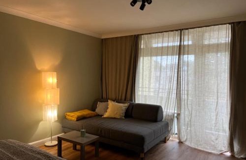 Innenstadt Apartment | Leo Flat