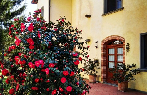 Vinci House | Leonardo's cottage. Typical Tuscan farmhouse in the Vinci countryside
