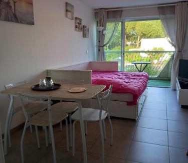 La Petite Motte Apartment | Les Appartements De Lina - Studio West City - Self Check-In