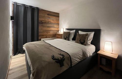 Anzere Apartment | Les Cerfs - Appartement & Studio - ANZERE