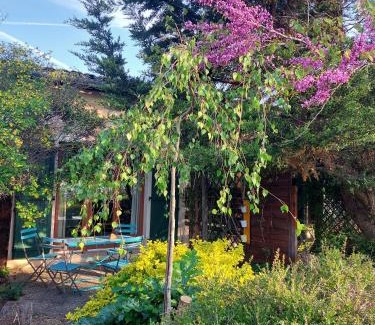 Gaillac House | Les Hauts de Jeanvert - Le Bouleau - Piscine - Gaillac