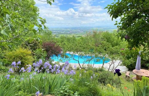 Gaillac House | Les Hauts de Jeanvert - Le Cèdre - Piscine - Gaillac