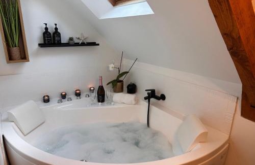Lanvallay Apartment | Les Libellules Appartement avec baignoire spa à Lanvallay