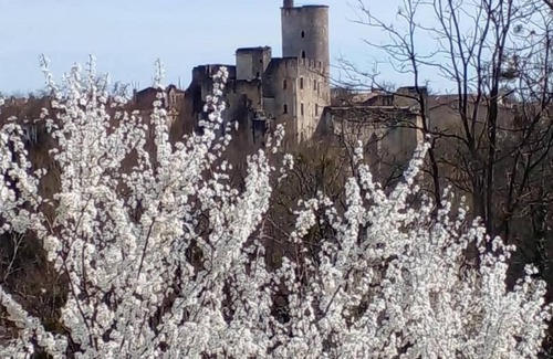 Rauzan House | Les Orchidées des Champs