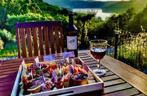 Esparron-de-Verdon House | Les Romarins" house with splendid lake view