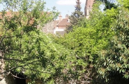 Cluny House | Lespalier - CLUNY - Gîte