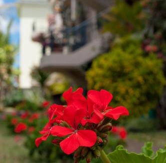 Pereybere Villa | Lharmonie Villa