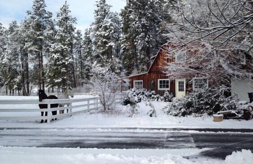 Southeast Kelowna House | Licensed Kelowna Retreat with pool and pickleball, private midtown acreage