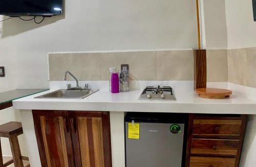 Brisas de Zicatela Apartment | Lidxi Rosae