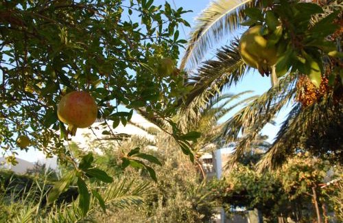 Astypalaia Apartment | Lilo's Apartments