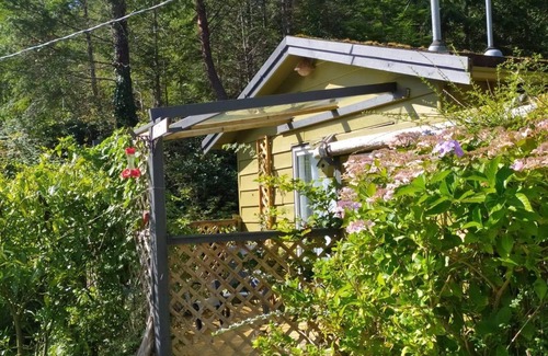 Madeira Park Cabin | Lily Lake Rock Cabin surrounded by nature