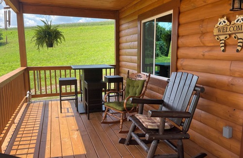Large Cabin | LILY PAD: Cozy Cabin with Unique Charm overlooking small pond on our property.