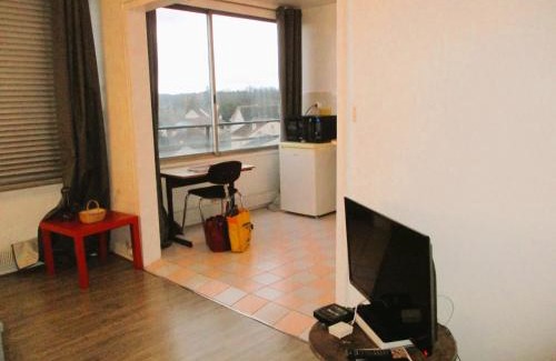 Limoges Apartment | LIMOGES , dans la cabanne au fond du jardin !