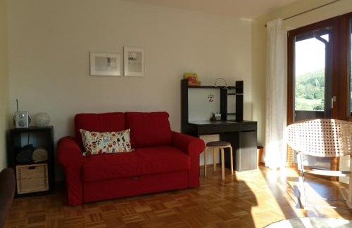 Bad Brueckenau Apartment | Lina's Rhön