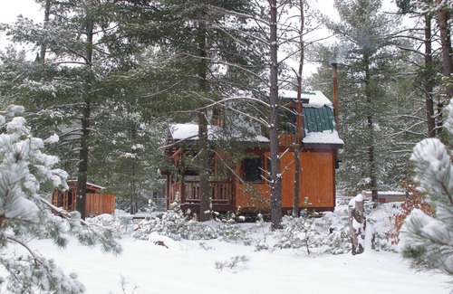 Lowville Cabin | Lion's Den Cabin at The King's Pines
