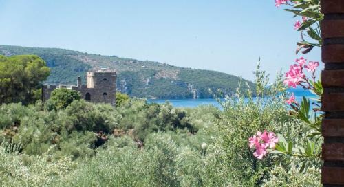 Kalamata House | Little country hut 'Mikri Eleni'