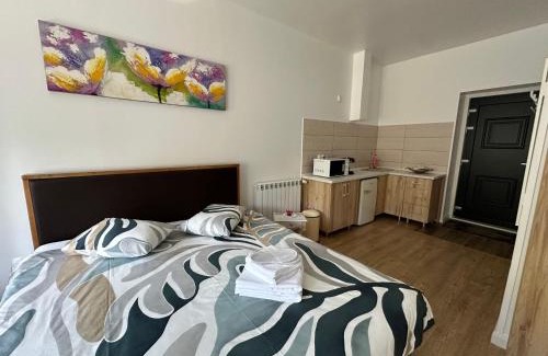 Centrul Vechi Apartment | Livada Studio Apartments