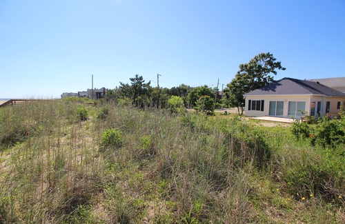 Willoughby Spit House | Live the "Life on a Sandbar" in a beachfront bungalow!nwith ODU Football Tickets