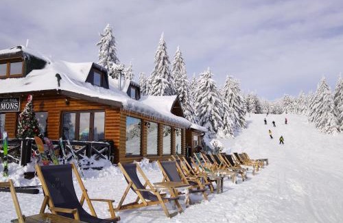 Kopaonik Apartment | Ljubica