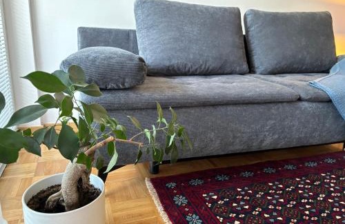 Ljubljana Apartment | Ljubljanica Apartment