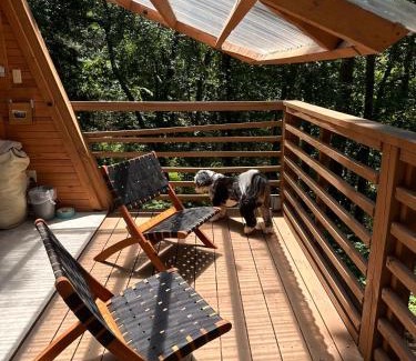 Eureka Springs House | Loblolly Pines Adventure Aframe #2